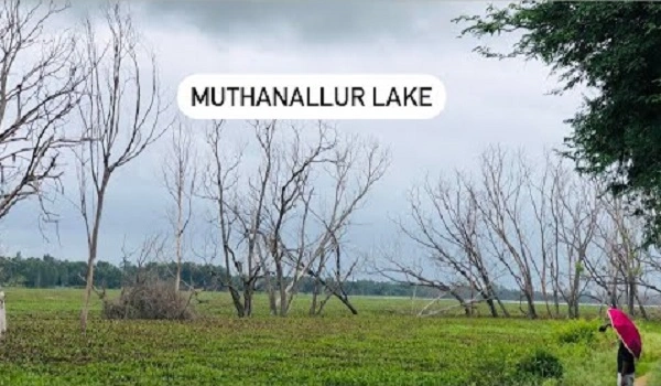 Muthanallur Lake
